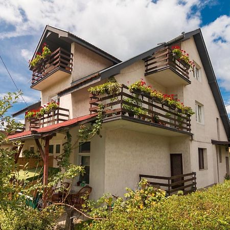 Drina - Bajina Basta Hotell Eksteriør bilde