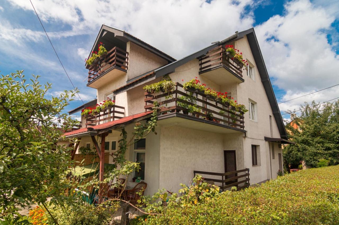 Drina - Bajina Basta Hotell Eksteriør bilde